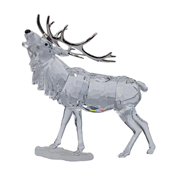 Stag / Moose