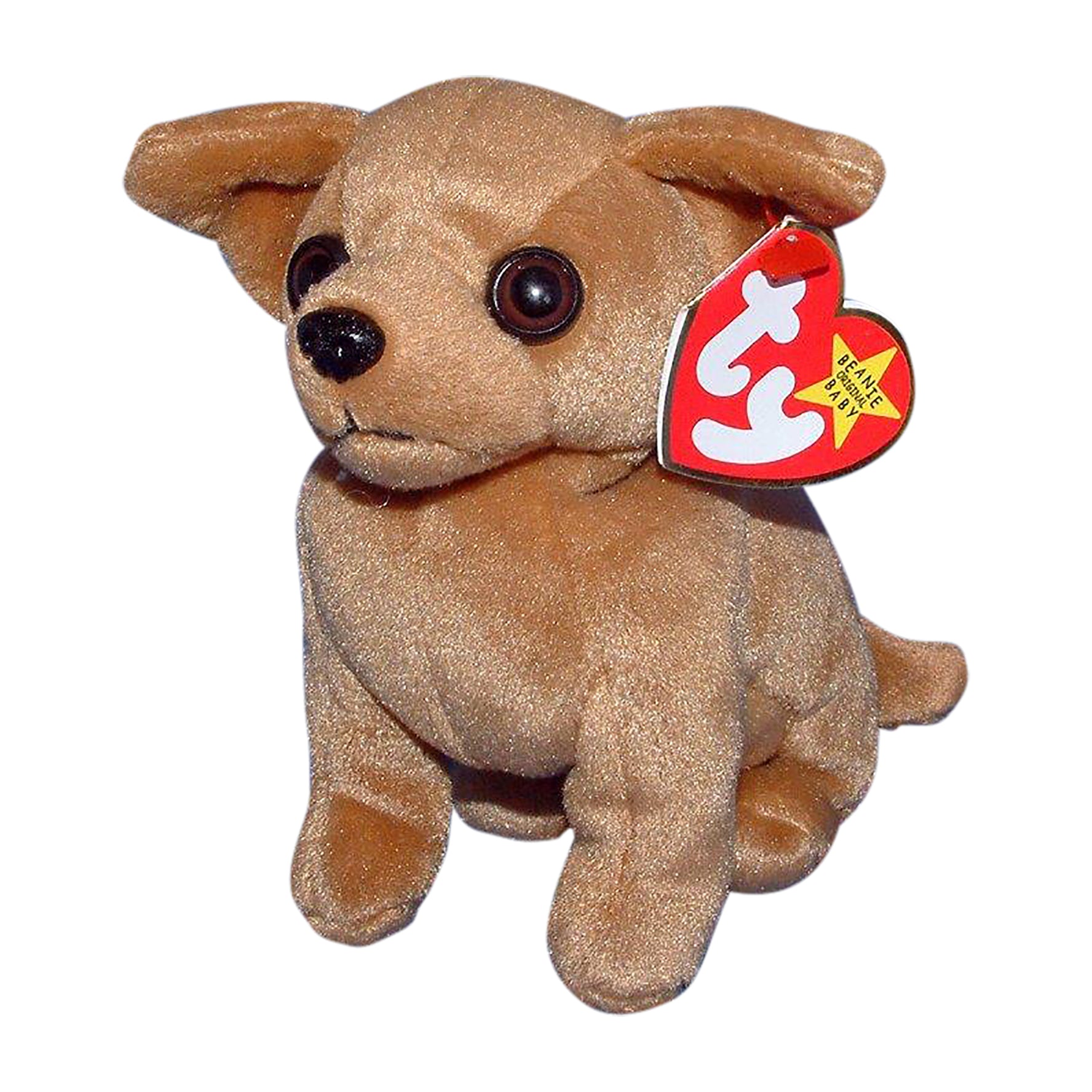 Ty Beanie Baby Tiny the Chihuahua Sell4Value